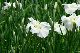 image0192