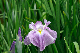 image0193