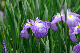 image0195