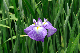 image0196