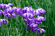 image0203