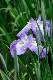 image0204