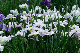image0216