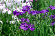 image0217