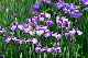 image0218