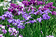 image0219