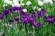 image0220
