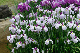 image0222
