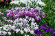 image0223