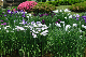 image0228