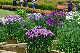 image0229