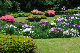 image0231