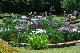 image0232