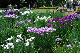 image0234