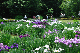 image0235