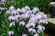 image0236