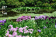 image0238