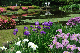 image0239
