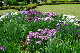 image0240