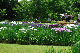 image0241