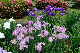 image0243