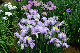 image0244