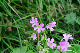 image0248
