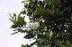 image0249