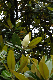 image0250