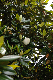 image0251
