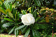image0252