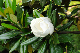 image0253