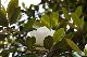 image0254