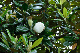 image0255