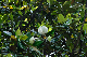 image0256