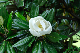 image0257