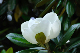 image0258
