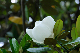 image0259