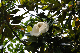 image0261