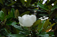 image0262
