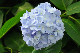 image0263