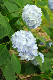 image0266