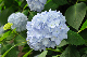 image0267