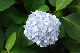 image0268