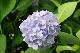 image0269