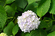 image0270