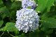 image0272