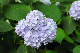 image0273