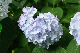 image0274