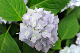 image0275